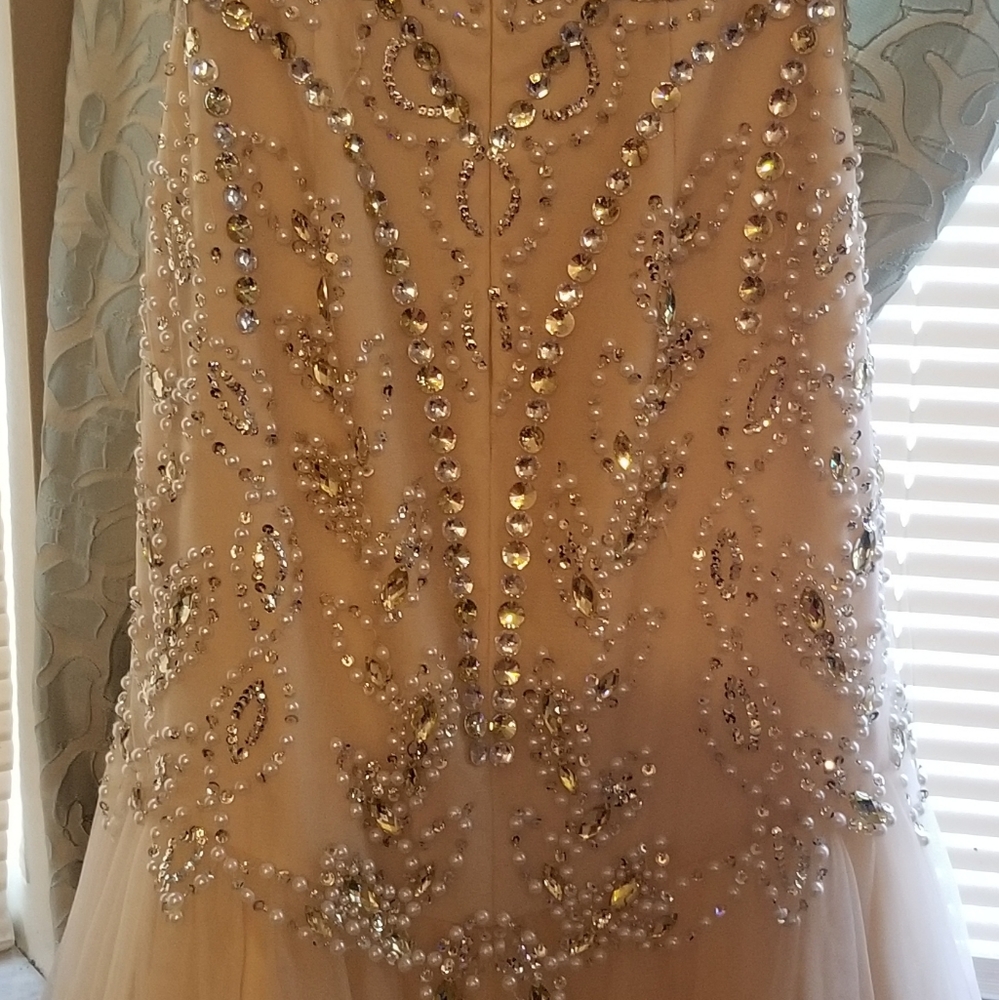 Prom Gown - Picture 6 of 8